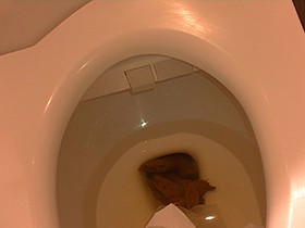 私のオシッコとウンコお見せいたします　サンプル画像04